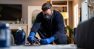 Abbey Wood Pest Control for a Safe and Secure Environment at Your Home or Business