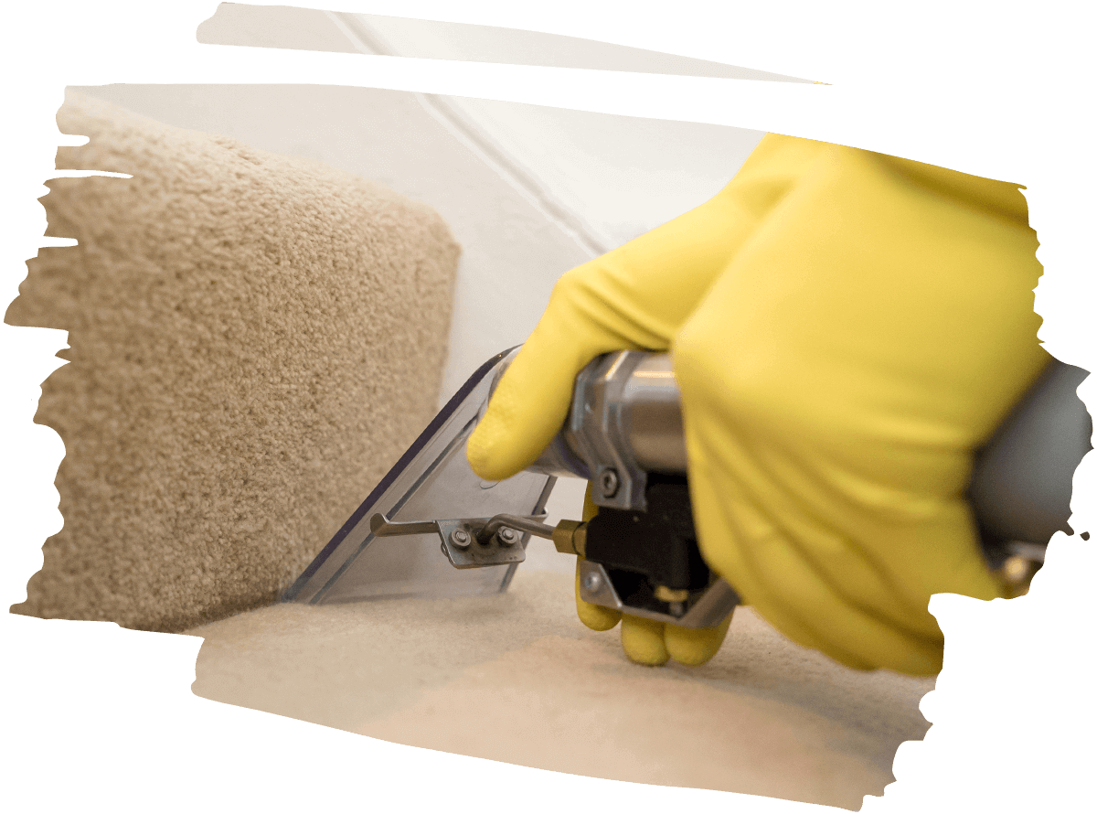 Carpet Cleaning Harrow